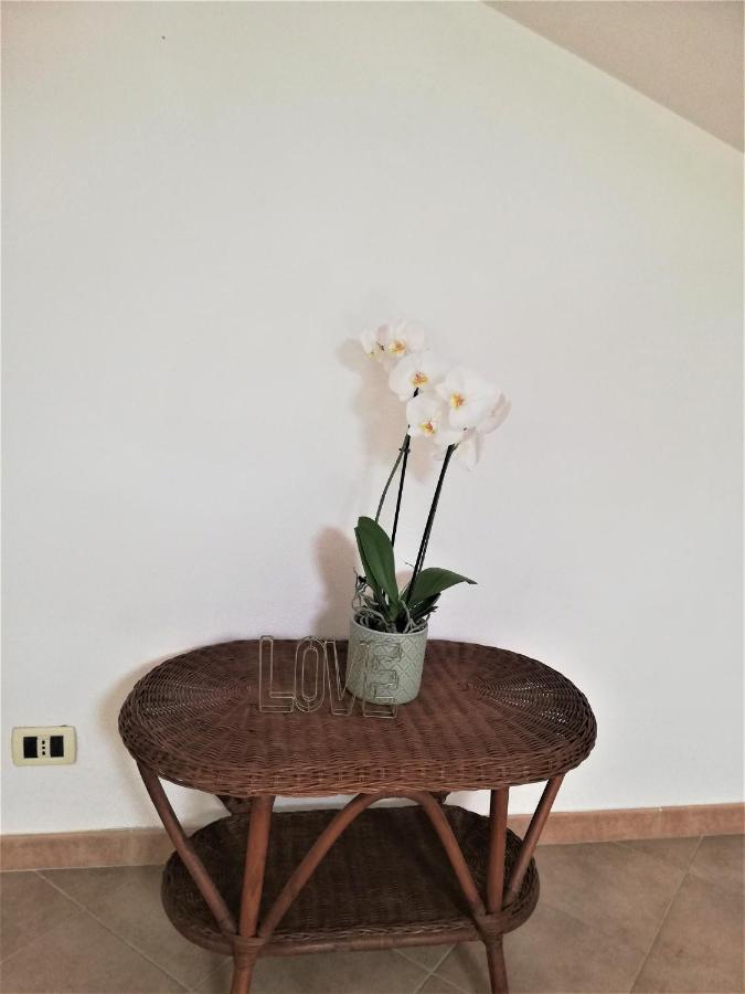 Amore Cove Apartment - Riomaggiore - 5 Terre 外观 照片